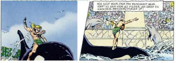 Afbeelding weetje
