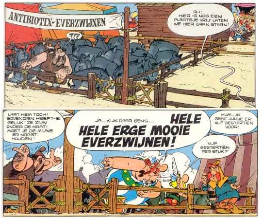 Afbeelding weetje