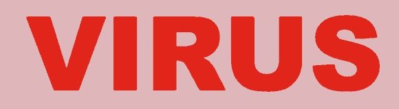 Virus (Rica)